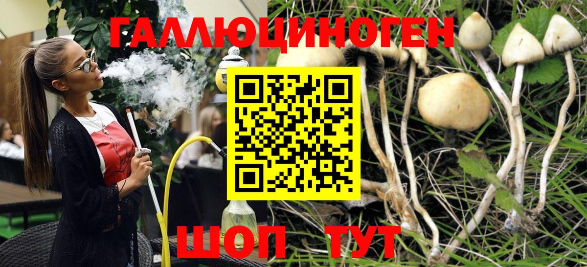 Псилоцибиновые грибы MAGIC MUSHROOMS  Вход с VPN  Дмитров 