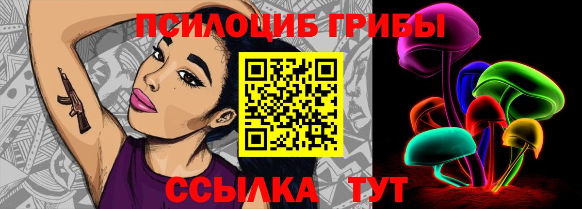 Псилоцибиновые грибы MAGIC MUSHROOMS Дмитров